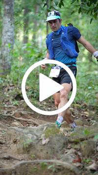 BIB:  <button type="button" onclick="openModal(27631881)" class="btn btn-primary btn-sm float-right" data-toggle="modal" data-target=".modal-high-quality">
                <i class="fa fa-download"></i> Download
                </button>